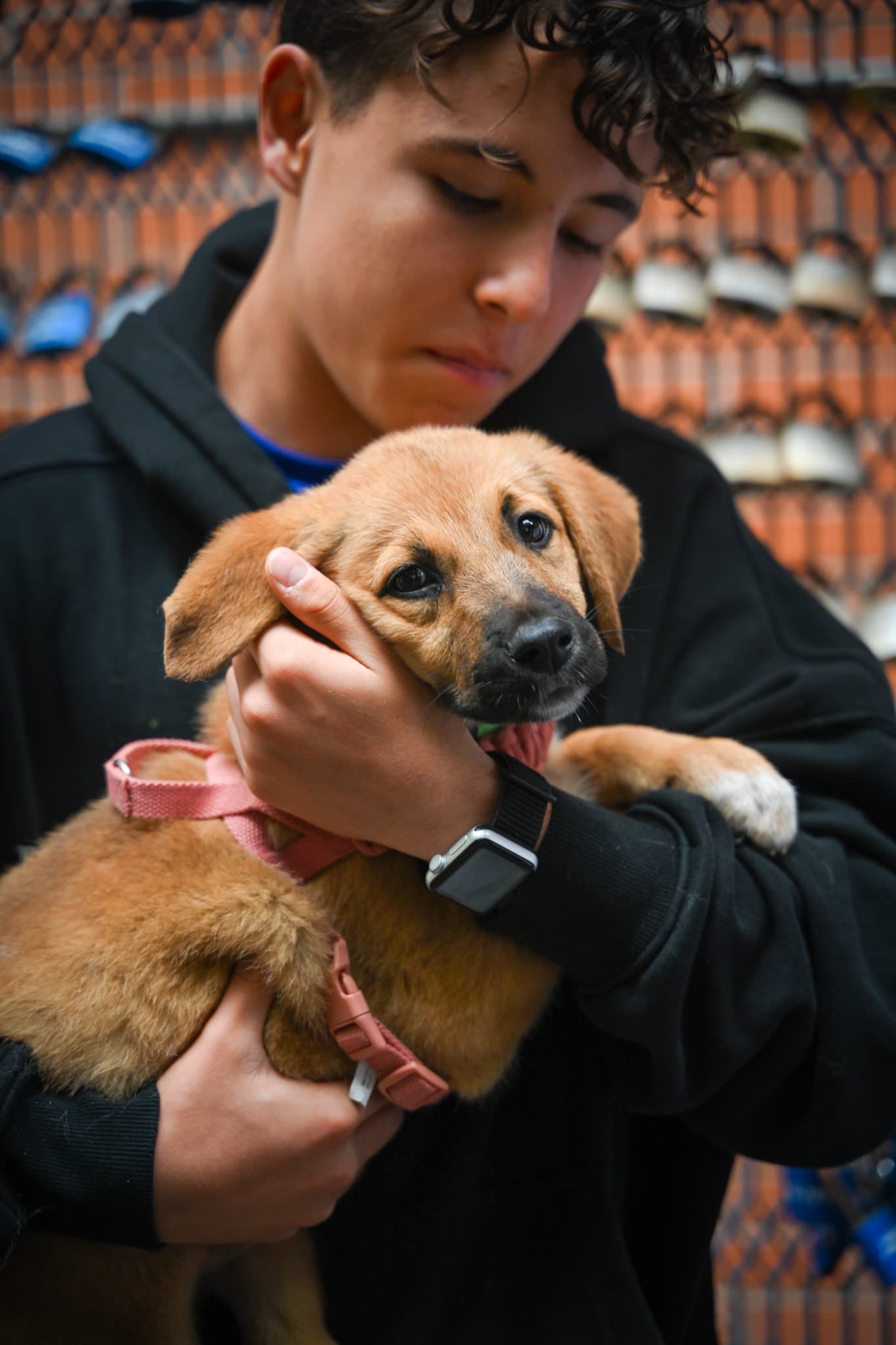 Voluntario abrazando a un cachorro rescatado en el refugio